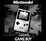 Nintendo Game Boy Camera photo