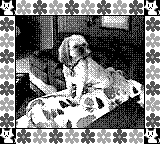 Nintendo Game Boy Camera photo