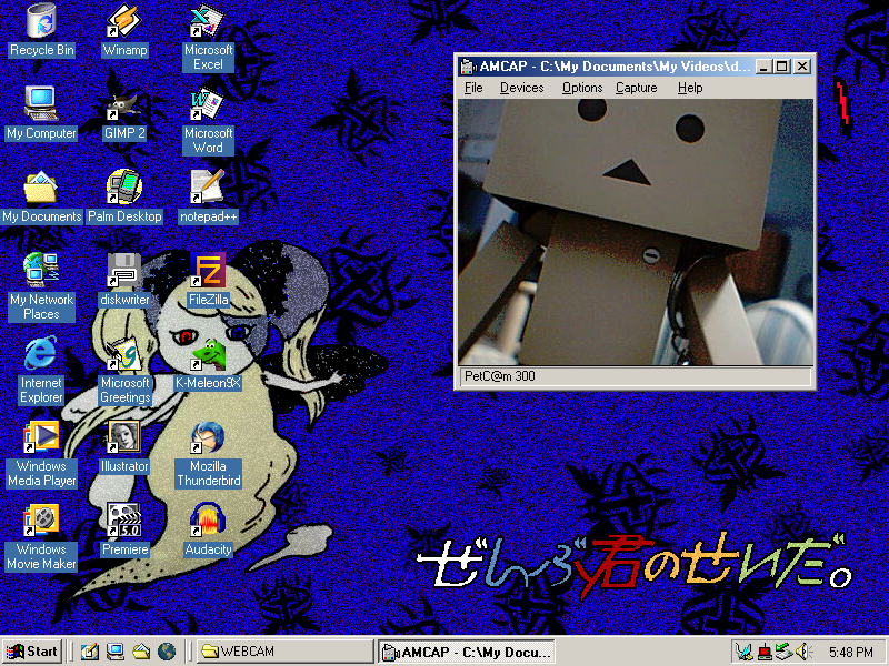 AMCap screenshot on Windows ME
