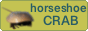 horseshoecrab.neocities.org