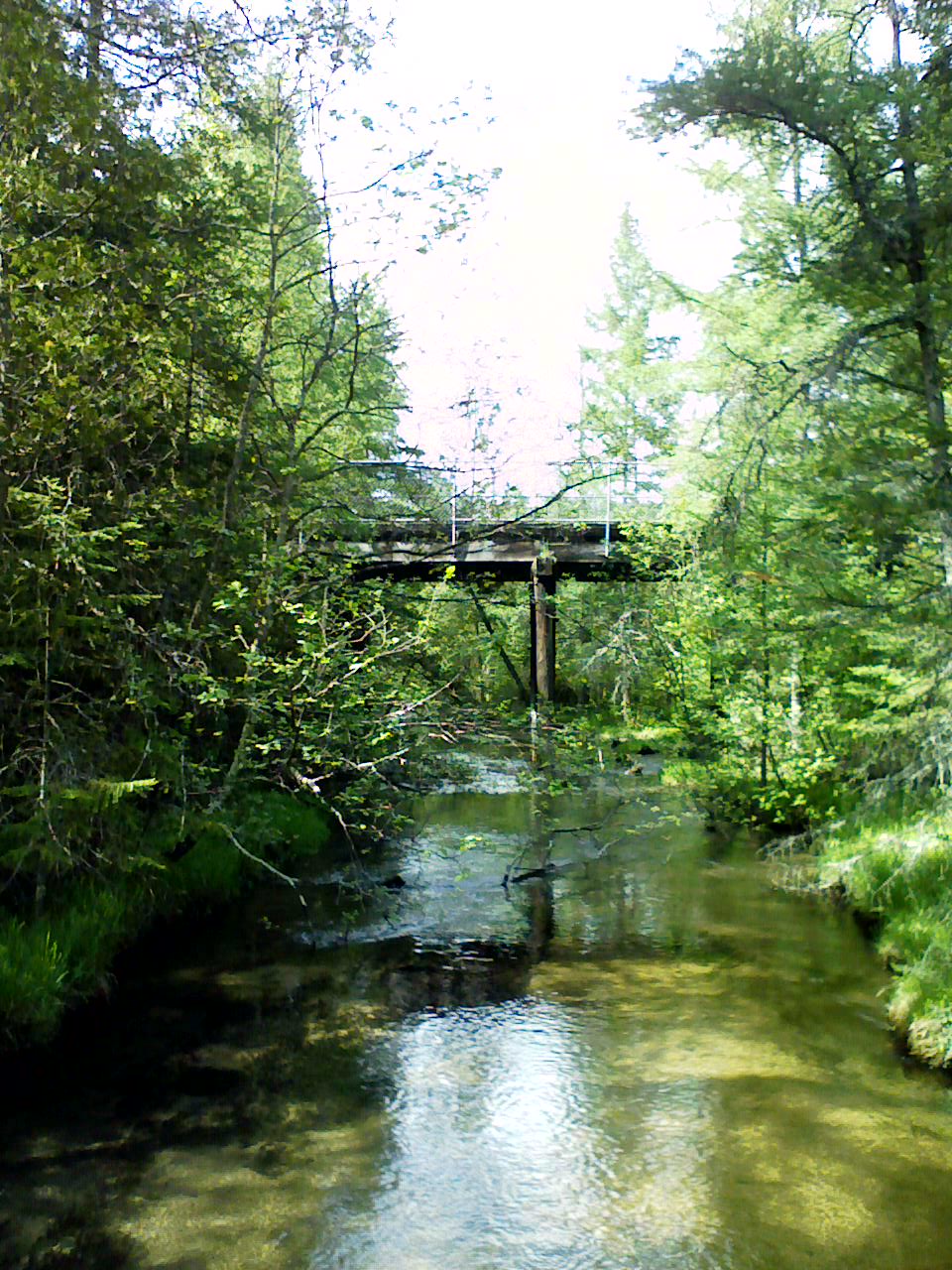 Bridge over stream
