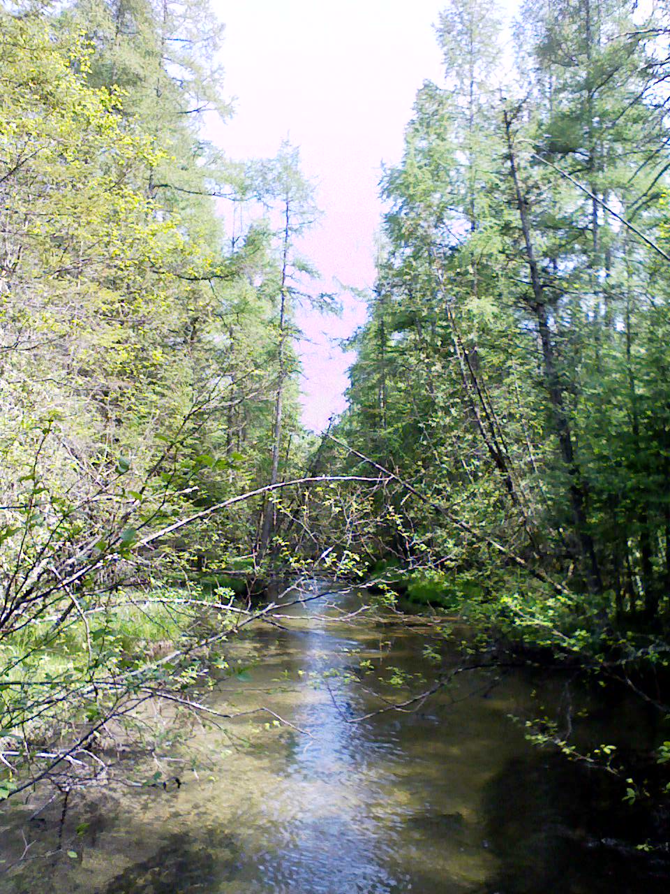 Stream