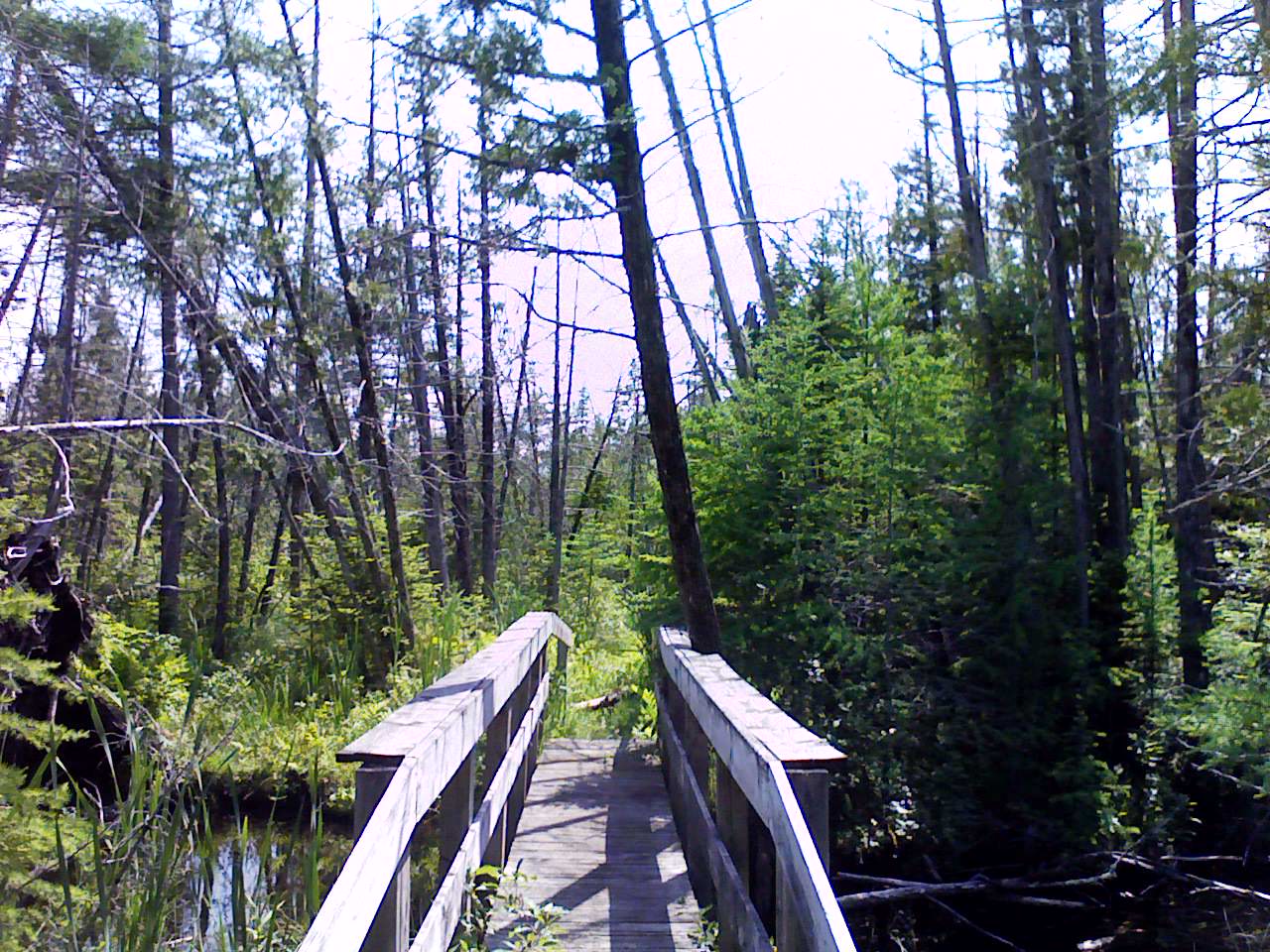 Bridge over stream