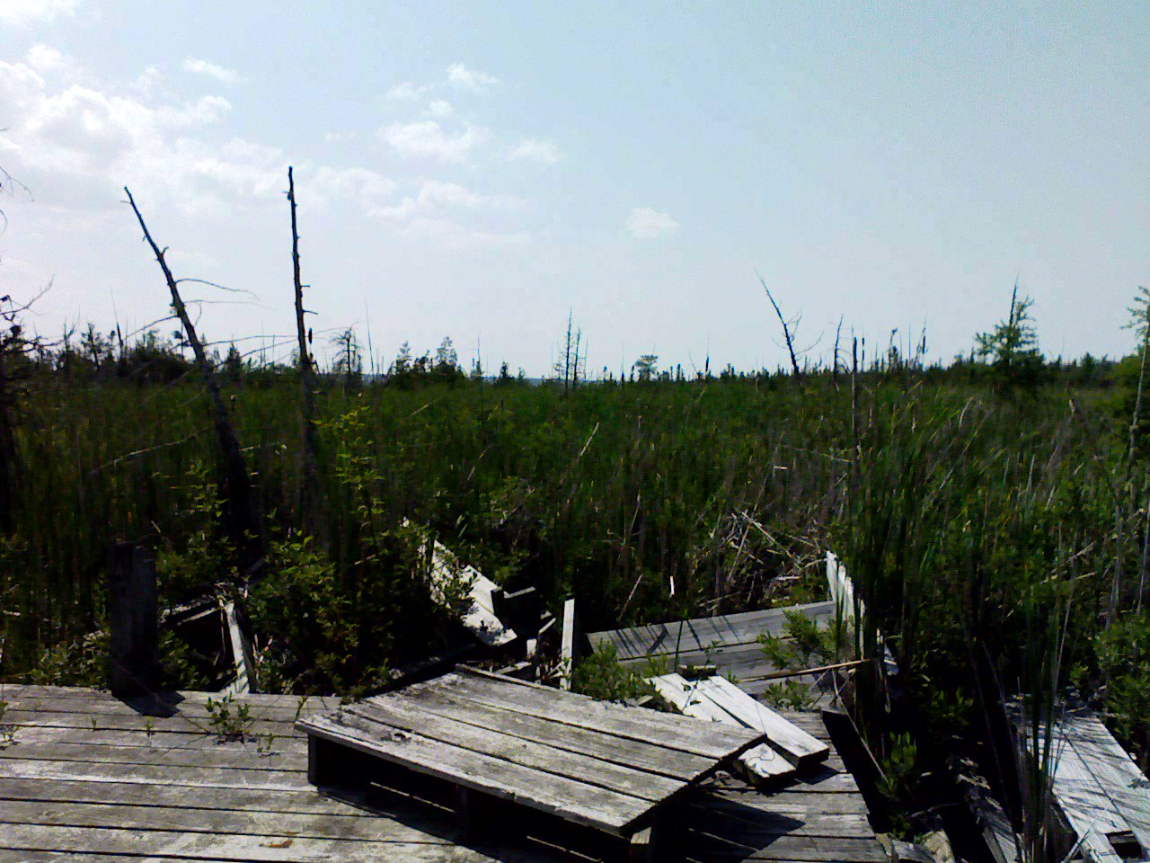 Old deck