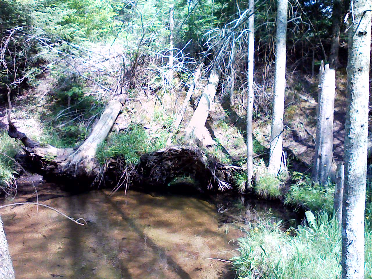 Culvert