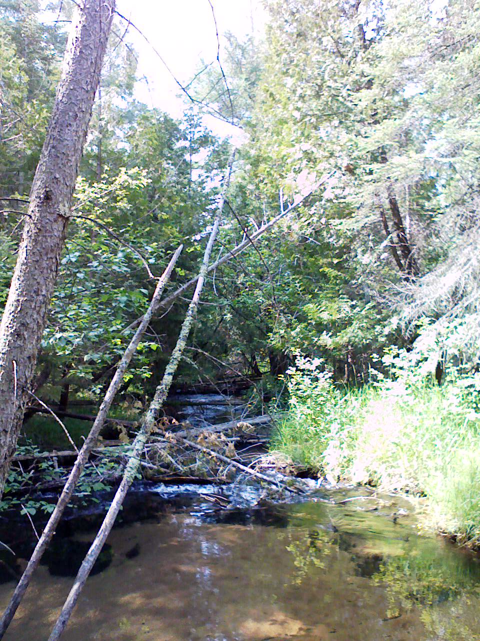 River