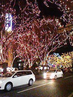 Lit trees
