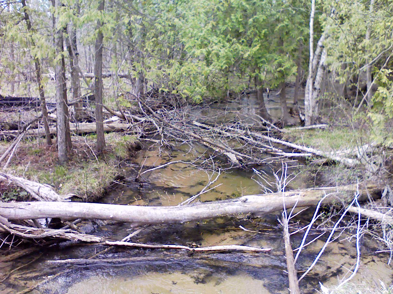 Stream