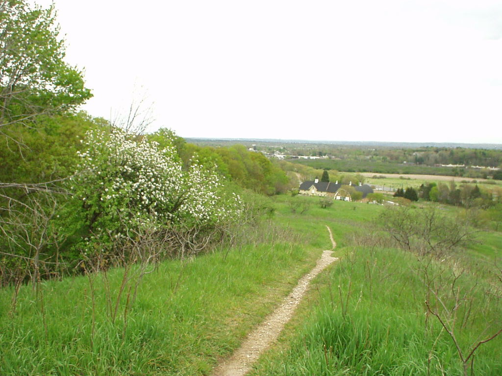 Path to barn