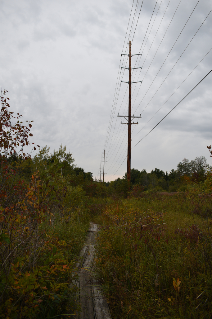 Path by power lines