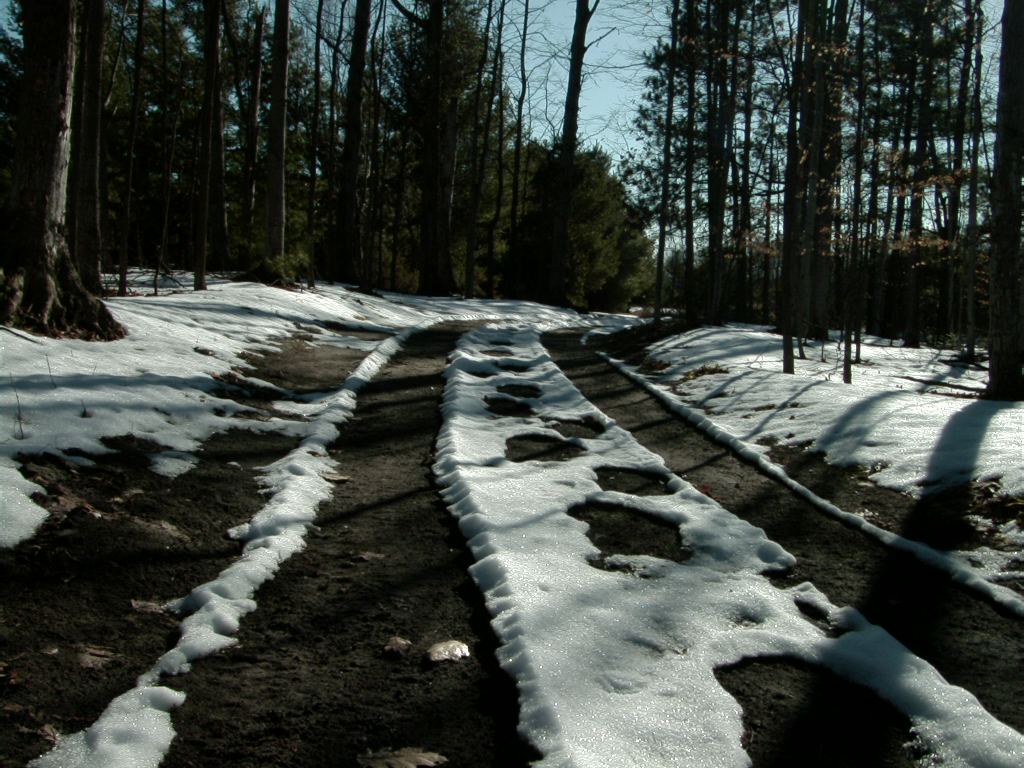 Tracks in snow