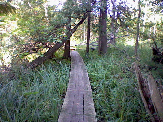 Nintendo DSi Camera photo - Wood path