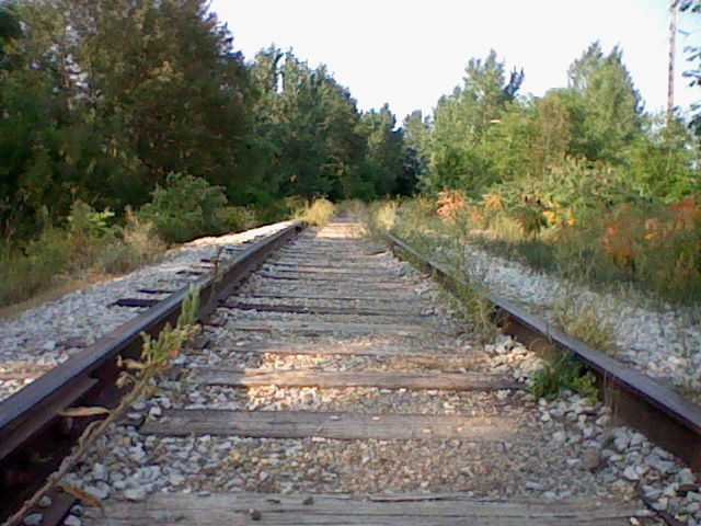 Nintendo DSi Camera photo - Train tracks