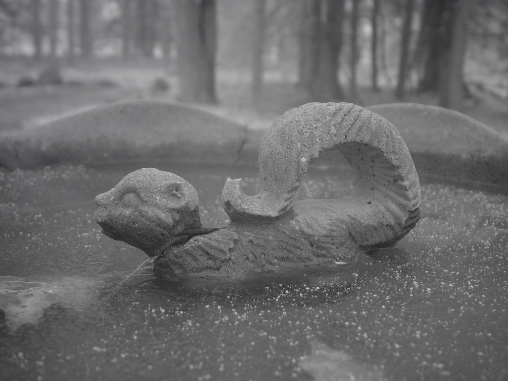 Frozen birdbath