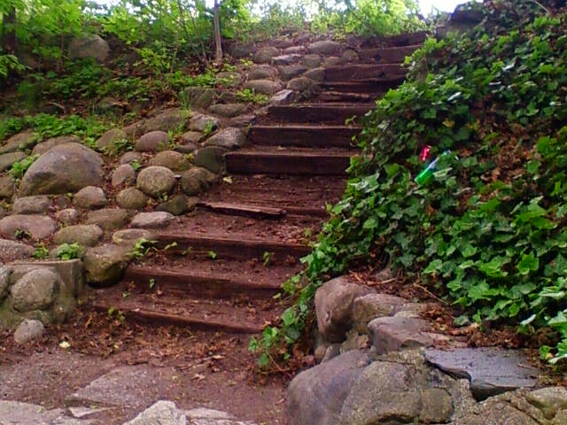 Steps