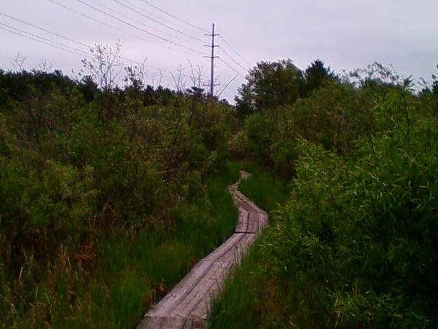 Boardwalk