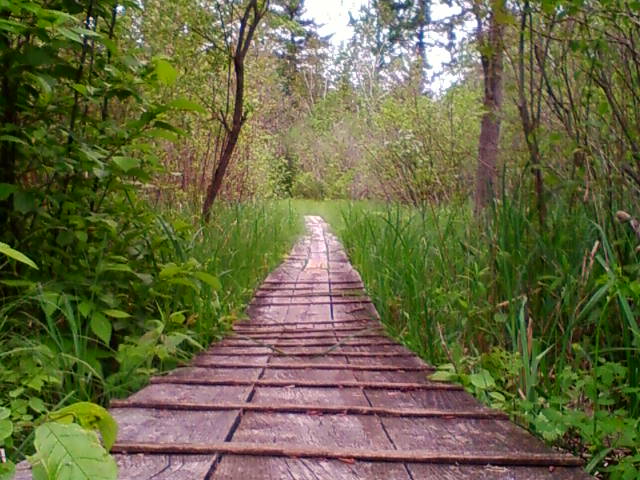 Boardwalk