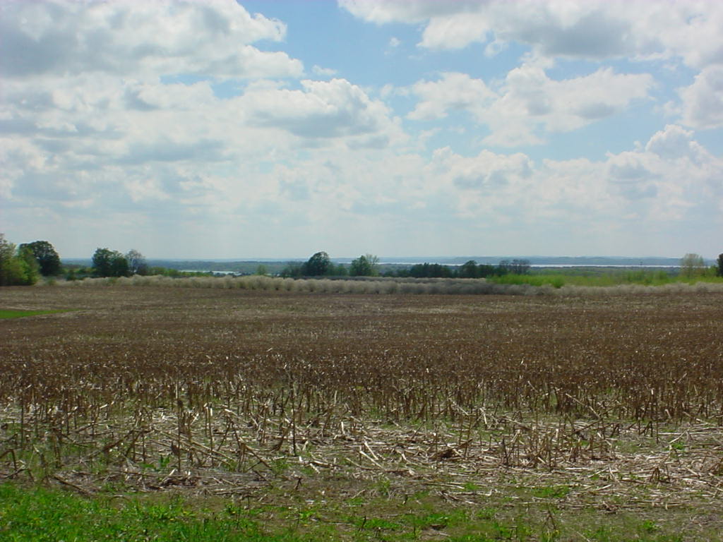 Field