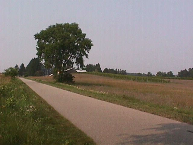 Trail