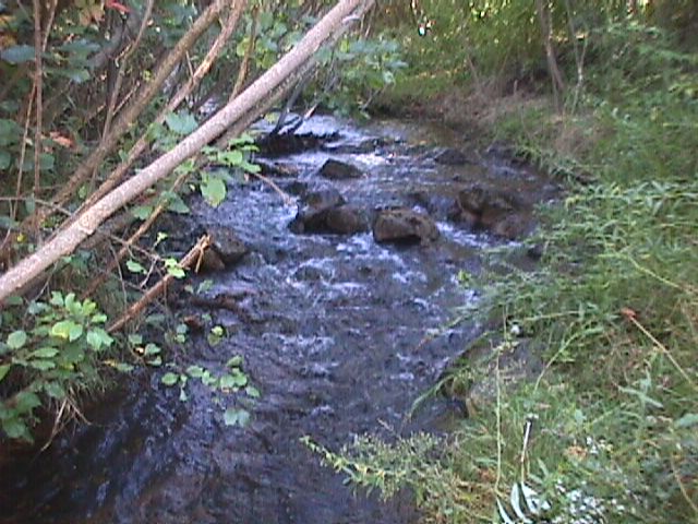 Stream