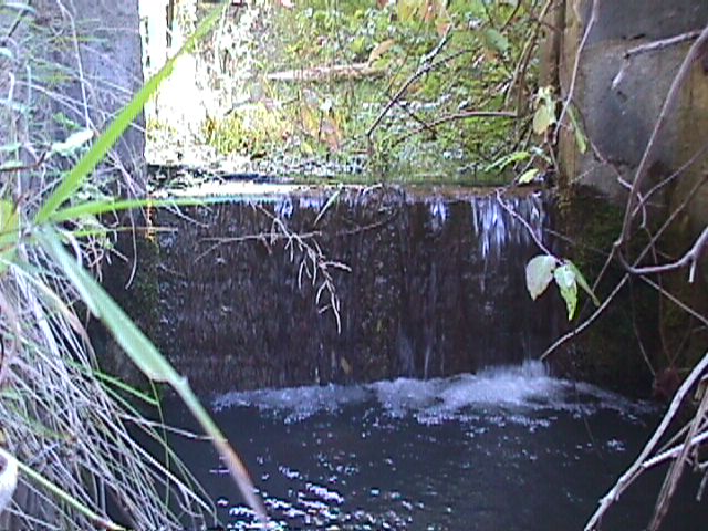 Dam