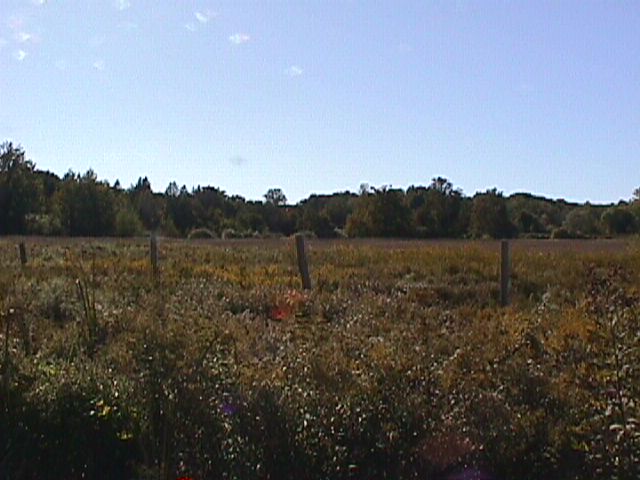 Field
