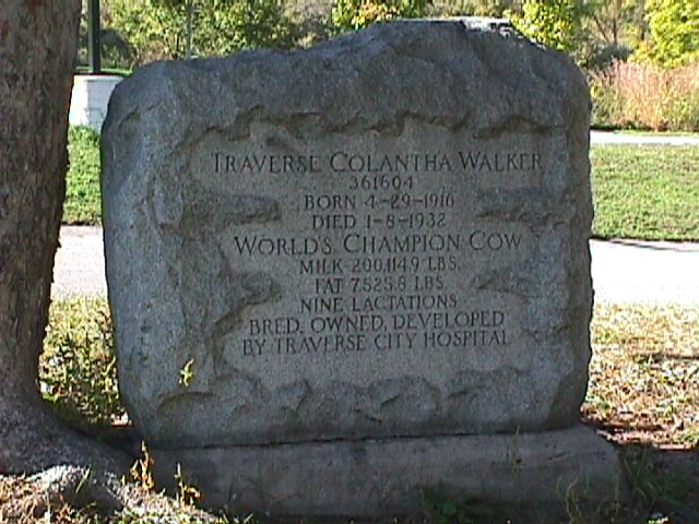 Champion cow grave
