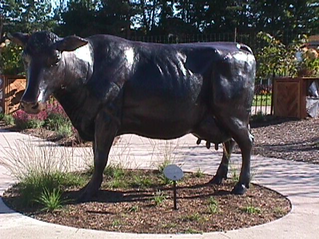 Champion cow statue