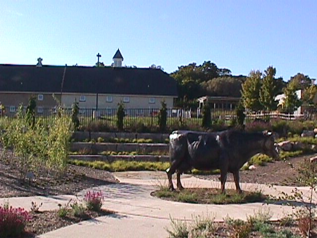 Champion cow statue