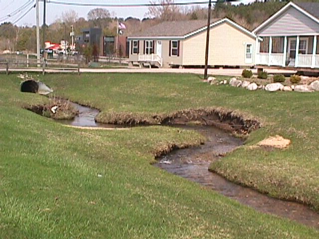 Stream