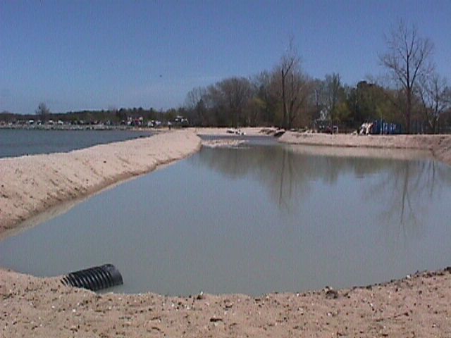 Pond