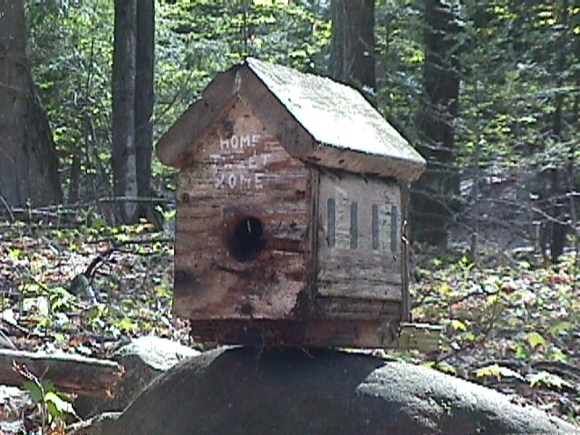 Bird house