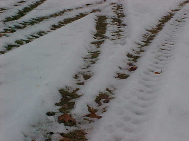 Tire tracks in snow