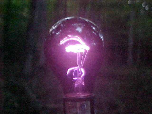 Black Light Ultraviolet Bulb close-up