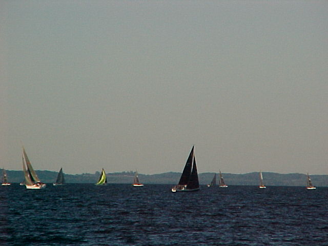 Sailboats on bay