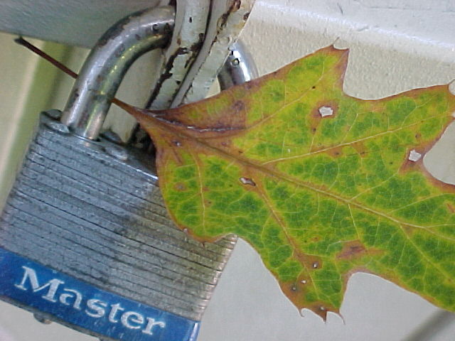 Lock with leaf