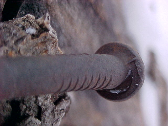 Nail in tree