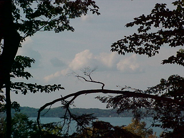 Lake through trees