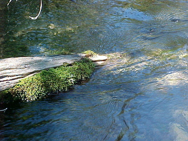 Log in stream