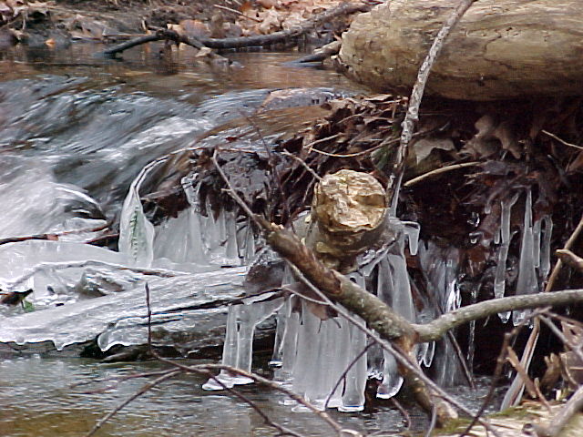 Icy stream