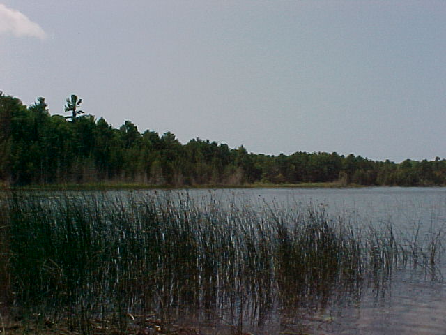 Beaver Island Barneys Lake