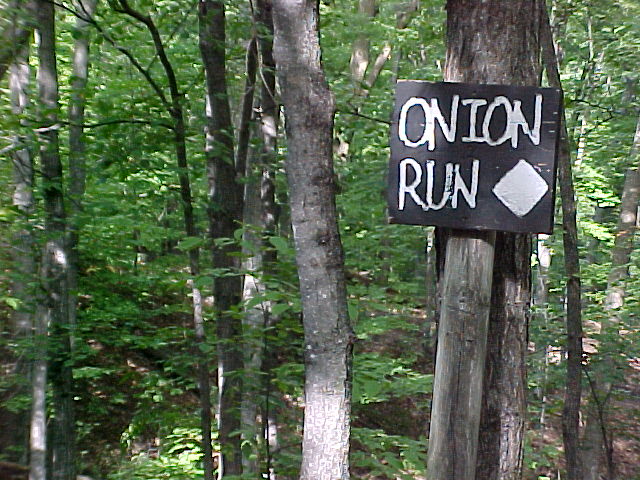 Onion Run