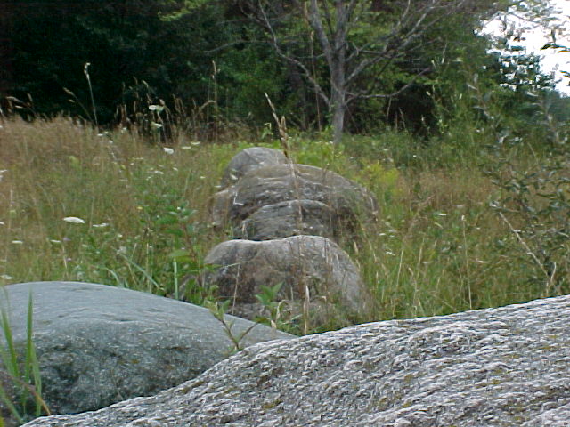 Rocks