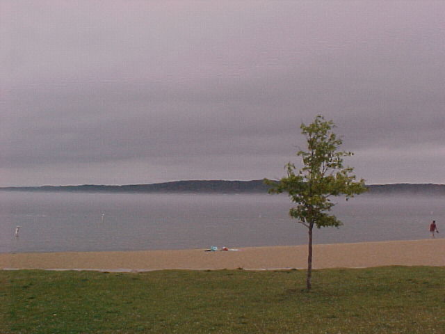 Foggy Bay