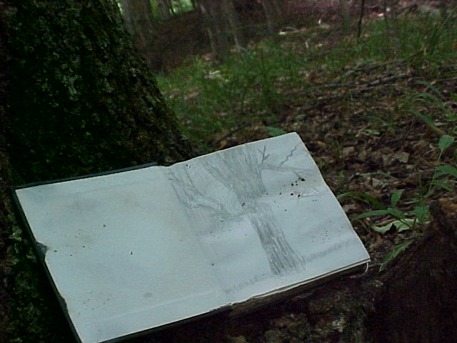 Sketch book in the woods