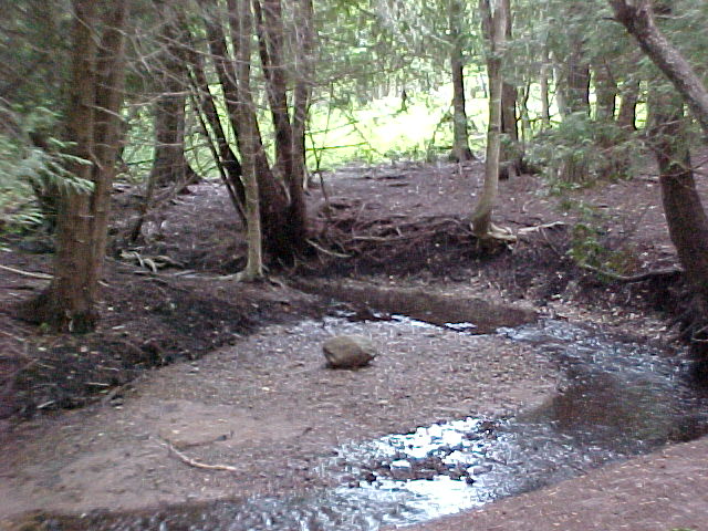 Stream