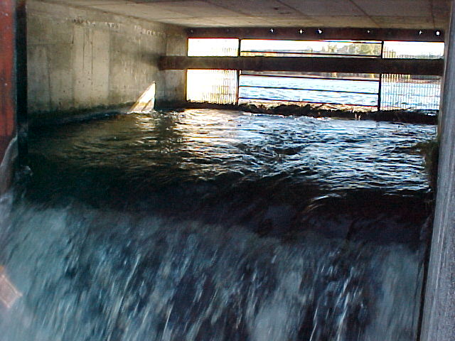 Dam inside