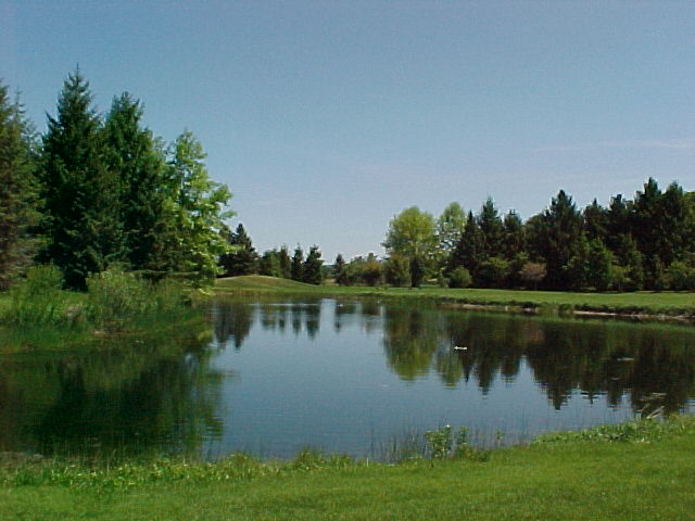 Pond