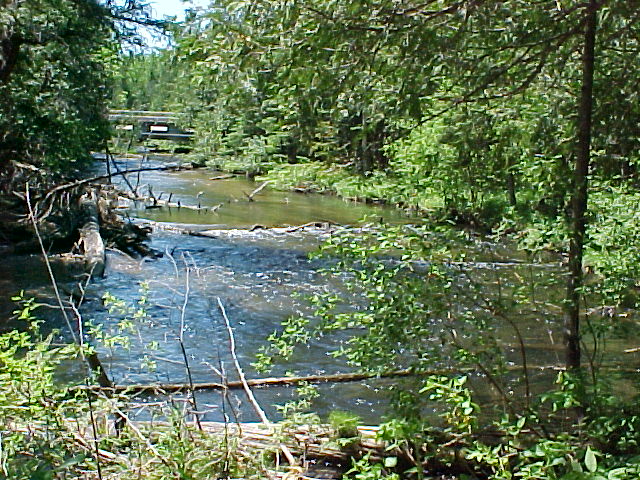 Stream