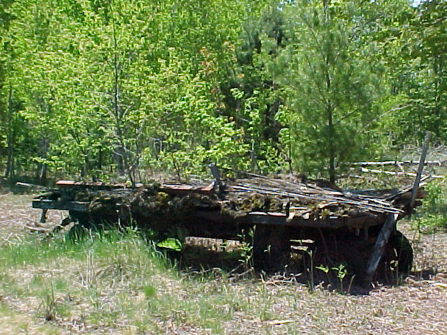 Wagon